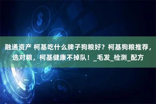 融通资产 柯基吃什么牌子狗粮好？柯基狗粮推荐，选对粮，柯基健康不掉队！_毛发_检测_配方