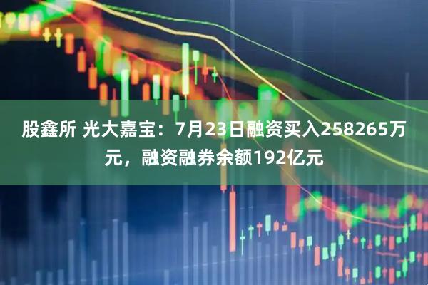 股鑫所 光大嘉宝：7月23日融资买入258265万元，融资融券余额192亿元