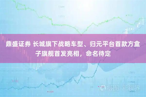 鼎盛证券 长城旗下战略车型、归元平台首款方盒子旗舰首发亮相，命名待定