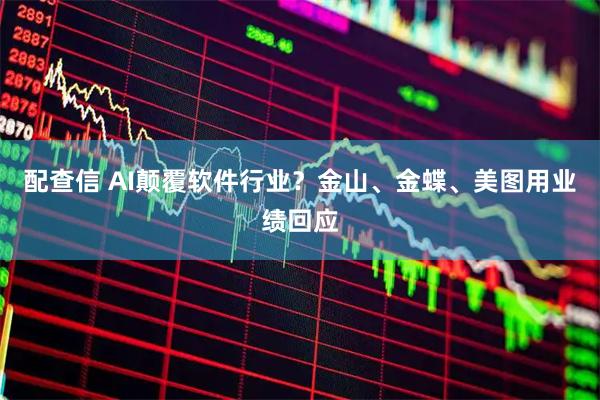 配查信 AI颠覆软件行业？金山、金蝶、美图用业绩回应
