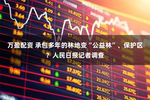 万盈配资 承包多年的林地变“公益林”、保护区？人民日报记者调查